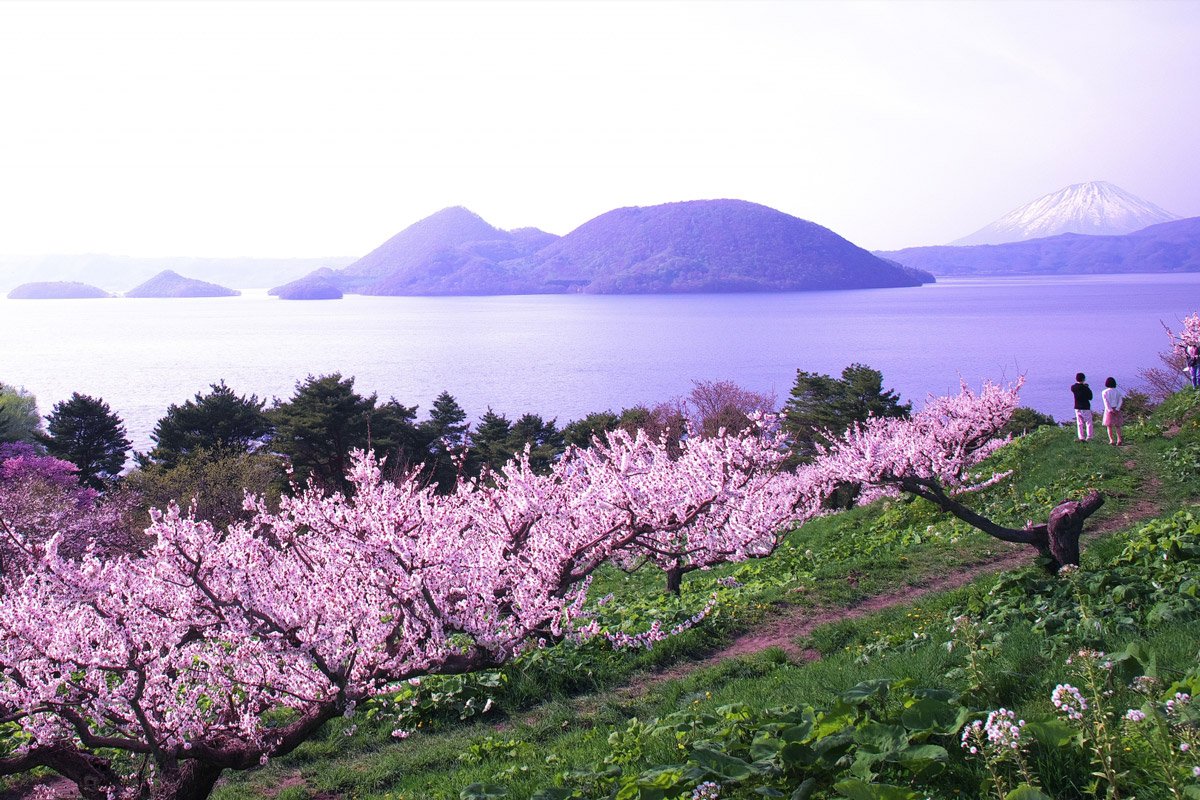 🌳 평화 창조의 숲 공원 (헤이와 소조노 모리 코엔) 이미지 8